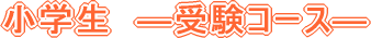 w@\󌱃R[X\